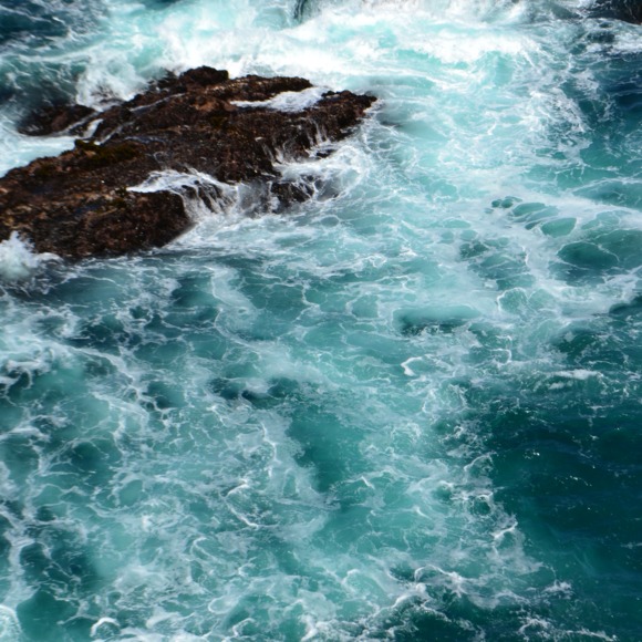 Meet your Posher, Josephine - Picture 1 of 1